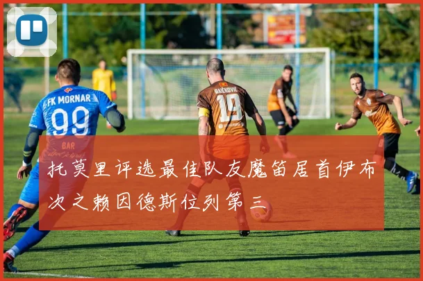 托莫里评选最佳队友魔笛居首伊布次之赖因德斯位列第三