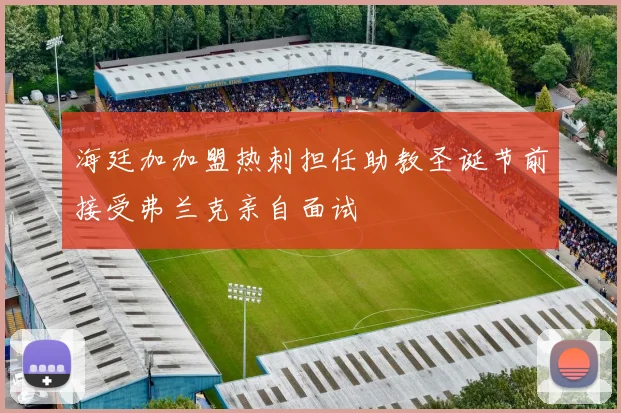 海廷加加盟热刺担任助教圣诞节前接受弗兰克亲自面试
