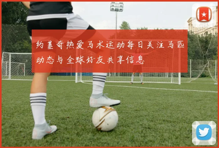 约基奇热爱马术运动每日关注马匹动态与全球好友共享信息