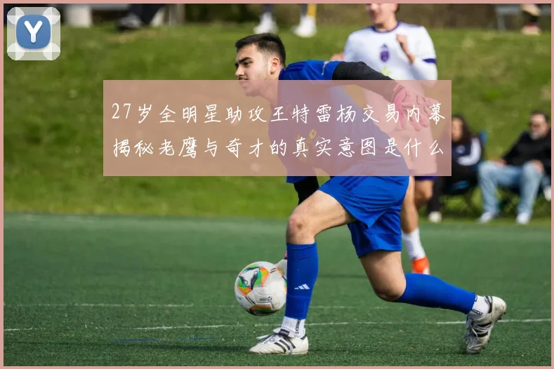 27岁全明星助攻王特雷杨交易内幕揭秘老鹰与奇才的真实意图是什么