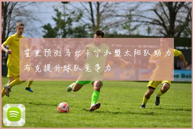 霍里预测马尔卡宁加盟太阳队助力布克提升球队竞争力